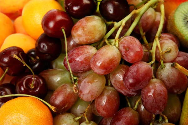 成熟水果的健康饲料 — 图库照片