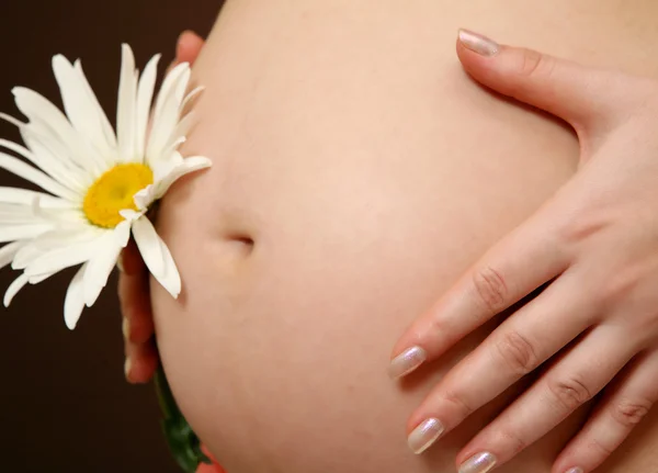 De zwangere vrouw — Stockfoto