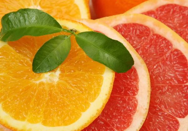 Olgun portakal ve mandalina — Stok fotoğraf