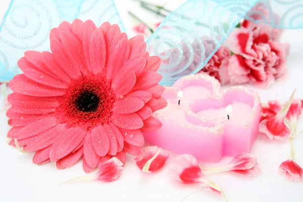 Flower and candle — Stock Photo, Image