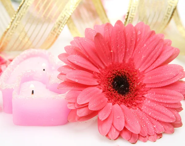Çiçek ve mum — Stok fotoğraf