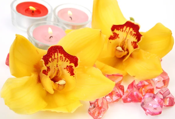 Żółty storczyki i świece — Zdjęcie stockowe