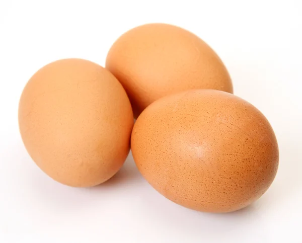 Ägg på vit bakgrund Stockbild