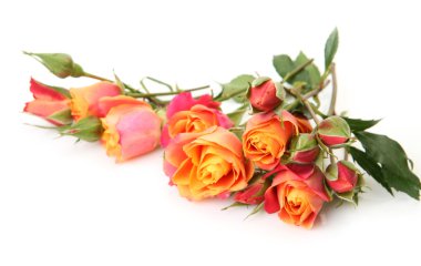 buket beyaz zemin üzerine