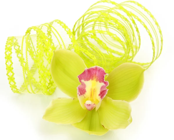 Orchidej a pásky — Stock fotografie