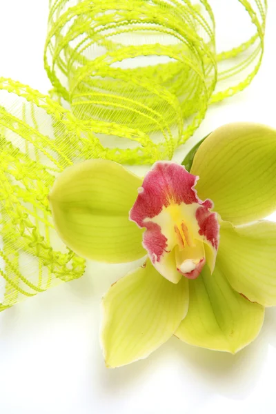 Orquídea y cinta — Foto de Stock