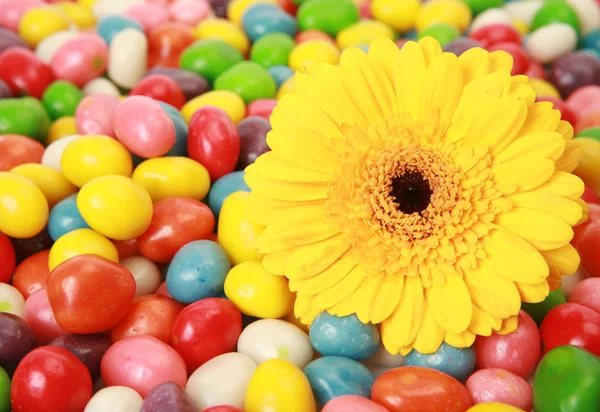 おいしいお菓子や花 — ストック写真