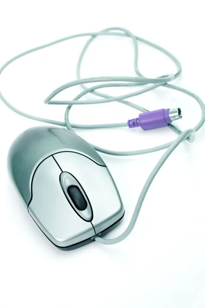 The computer mouse — Stock Photo, Image