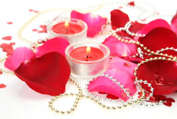Ljus och kronblad av rosor Stockfoto