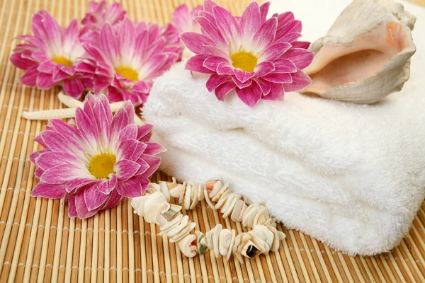 Schelpen, bloemen en handdoek — Stockfoto