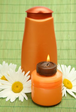 bir bedene bakmak için özneler