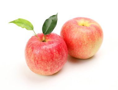 Olgun elma yeşil yaprakları ile