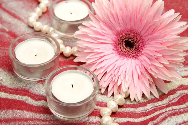 Flower and candles — Stockfoto