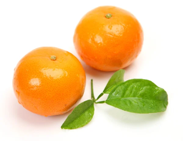 Fresh tangerines — Stock Photo, Image