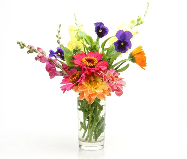 Flores finas — Fotografia de Stock