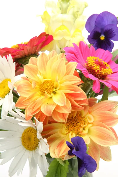 Fine flowers — Stock Photo, Image