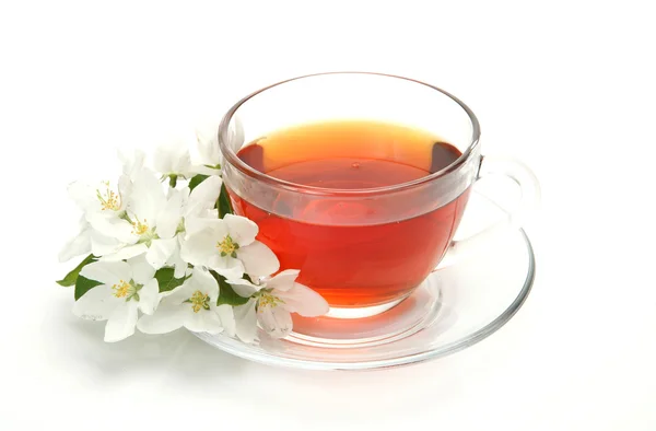 ชาและดอกไม้ — ภาพถ่ายสต็อก