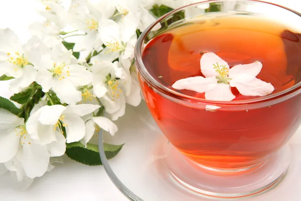 Tea and flowers — Stock Photo, Image