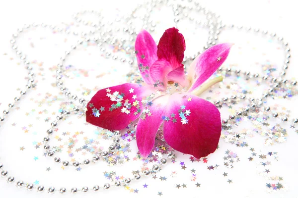 Roze orchid en confetti — Stockfoto