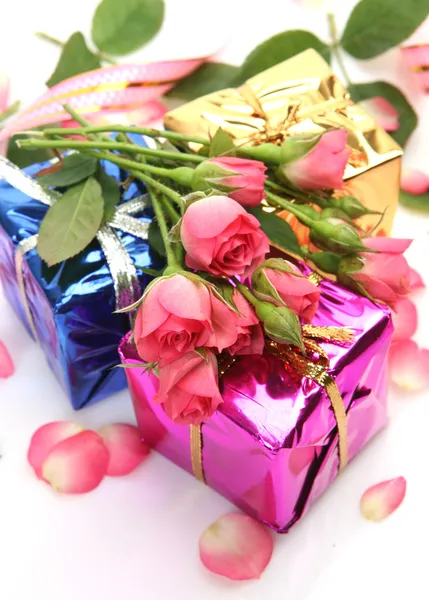 Boîtes de couleur et roses — Photo
