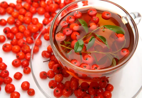 Tea and berries — Stock Photo, Image