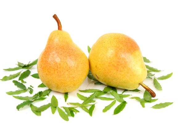 Fresh pear — Stock Photo, Image