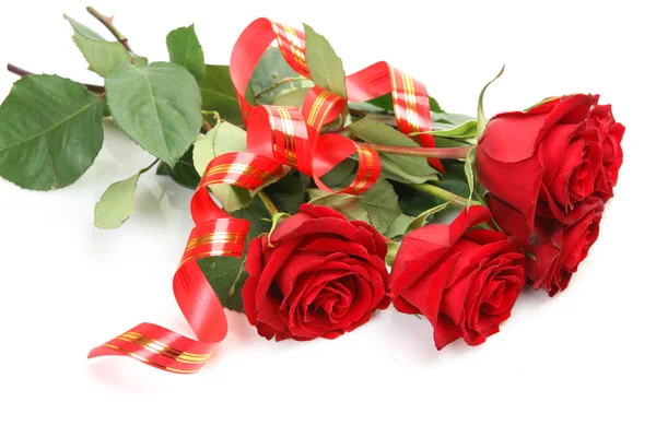 Fine roses — Stock Photo, Image