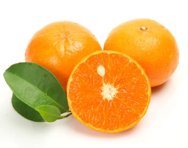 Dojrzałych pomarańczy Obraz Stockowy