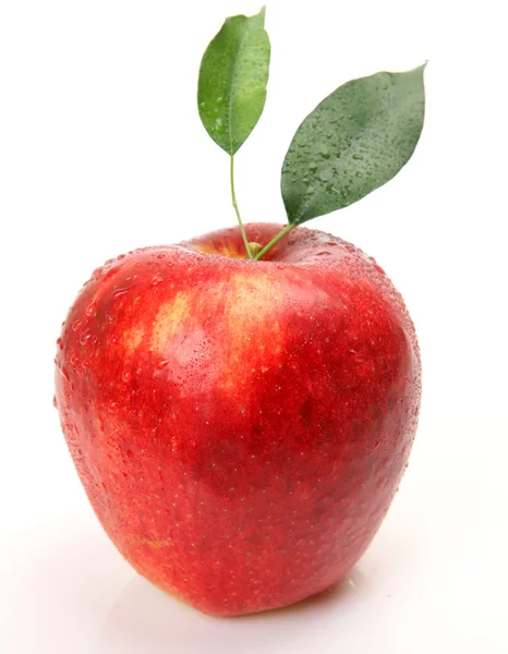 新鲜的红苹果 免版税图库图片
