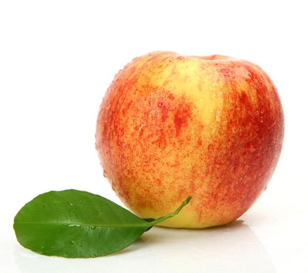 Färskt äpple Stockbild