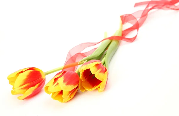 Dobrze tulipany — Zdjęcie stockowe