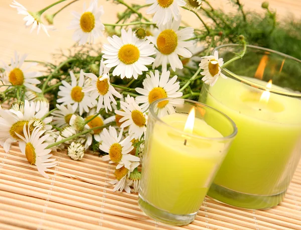 Chamomiles and candles — Stock Photo, Image