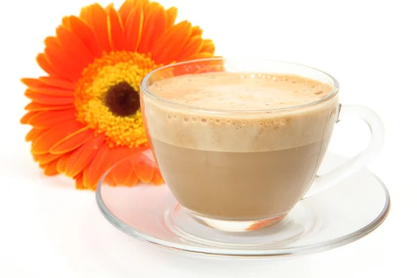 Kaffee und Blume — Stockfoto