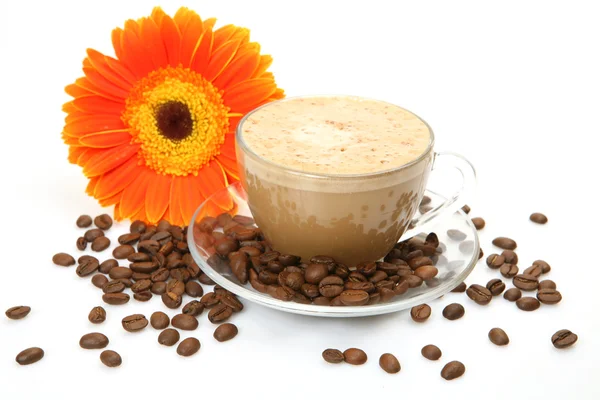 Kaffee und Blume — Stockfoto