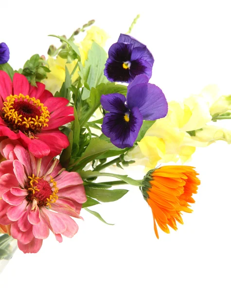 Fine flowers — Stock Photo, Image