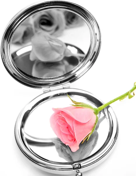 거울과 장미 스톡 사진