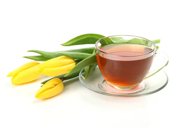 Té y tulipanes —  Fotos de Stock
