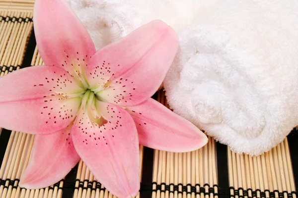 Towel and pink lily — Stock Photo, Image