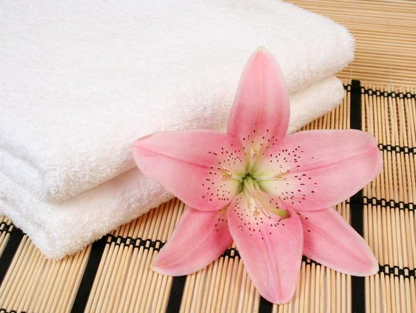 Towel and pink lily — Stock Photo, Image