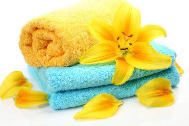 bir duş ve banyo için konular