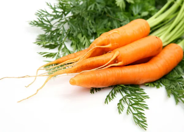 Fresh vegetables — Stock Photo, Image