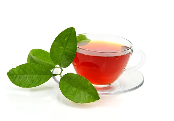 Hrnek s čajem — Stock fotografie