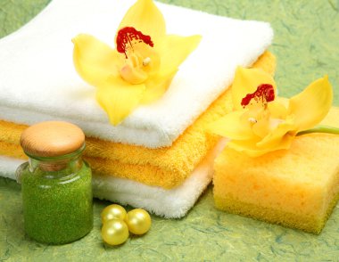 bir duş ve banyo için konular