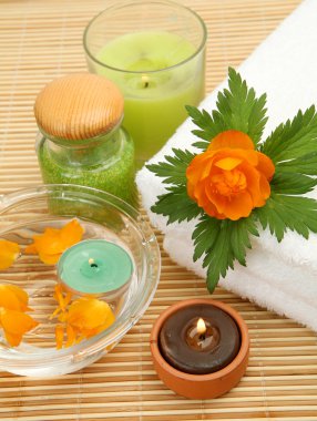 bir bedene bakmak için özneler