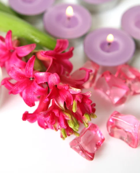 Flor rosa e velas acesas — Fotografia de Stock