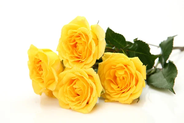 Yellow roses — Stock Photo, Image