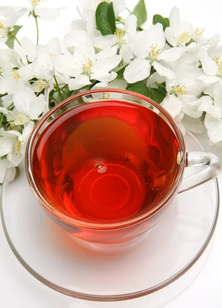 Tea and flowers — Stock Photo, Image