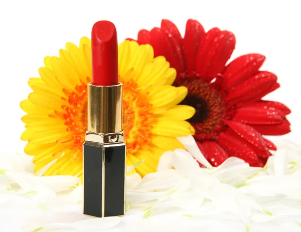 Decorative cosmetics — Stock Photo, Image