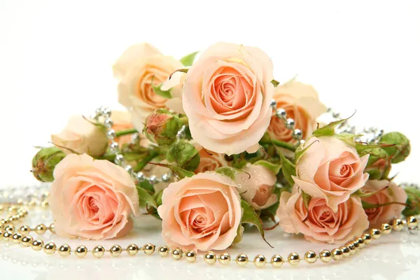 Fine roses — Stock Photo, Image