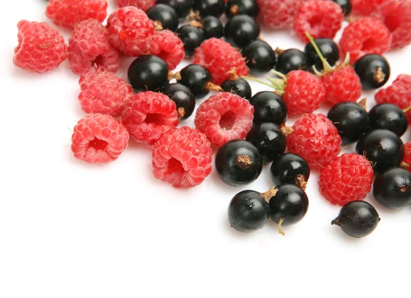 Ripe berries — Stock Photo, Image